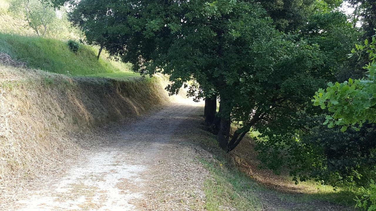 Agriturismo Le Querce 帕拉亚 外观 照片