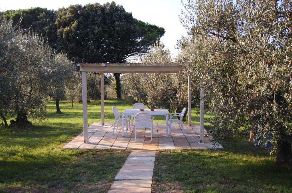 Agriturismo Le Querce 帕拉亚 外观 照片
